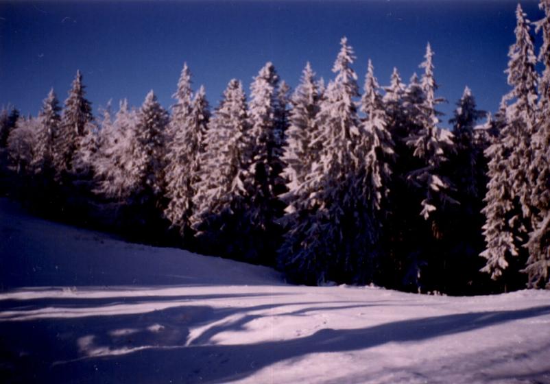 Image 8 of 25  -  180 kB